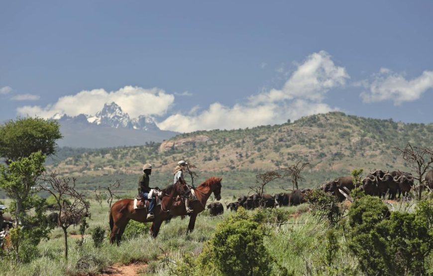 8 Nights & 9 Days at Samburu and Borana Conservancies