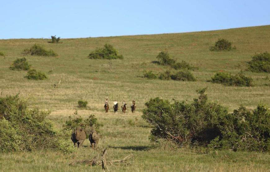 8 Nights & 9 Days at Samburu and Borana Conservancies