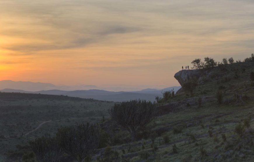 8 Nights & 9 Days at Samburu and Borana Conservancies