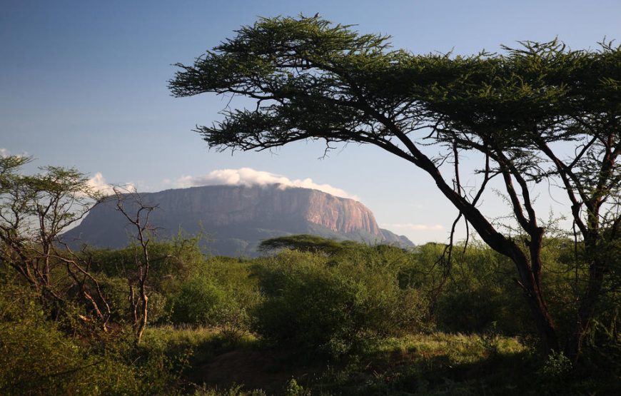 8 Nights & 9 Days at Samburu and Borana Conservancies