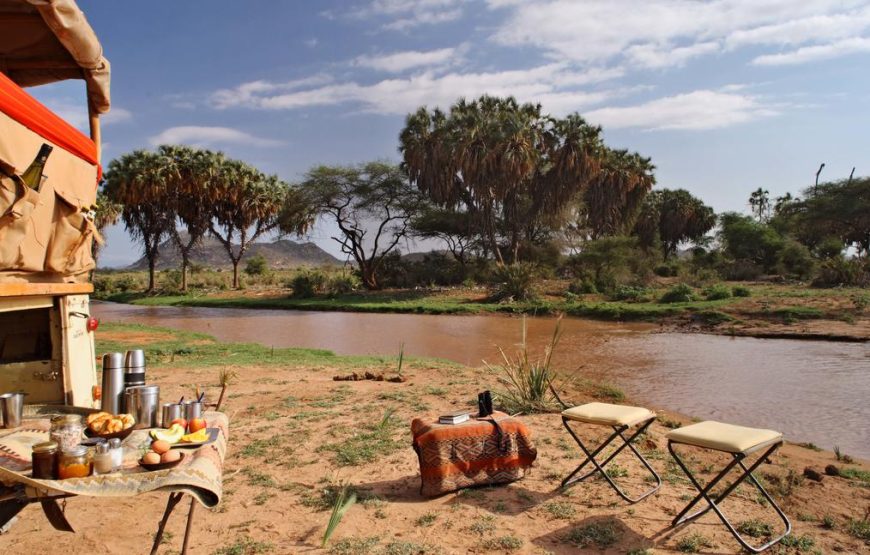 8 Nights & 9 Days at Samburu and Borana Conservancies