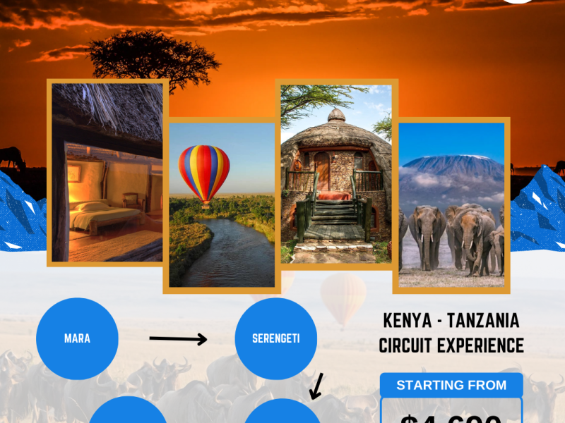 Create your perfect journey in Africa with BookAir!