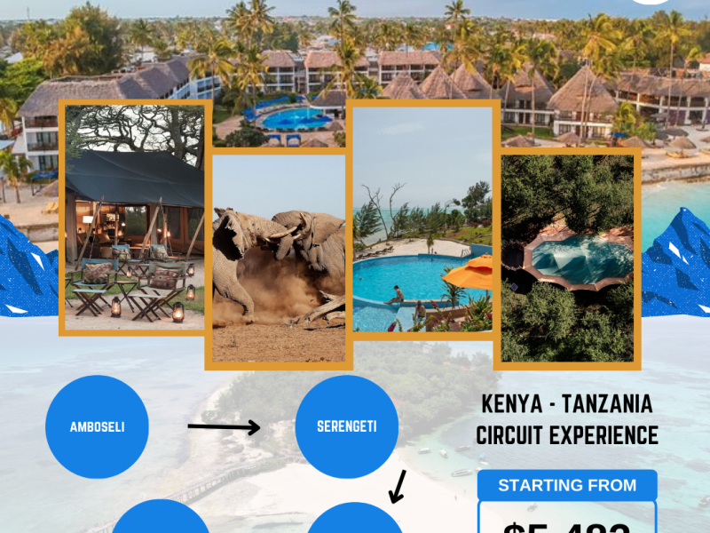 Create your perfect journey in Africa with BookAir!